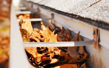 West Ardsley gutter cleaning companies